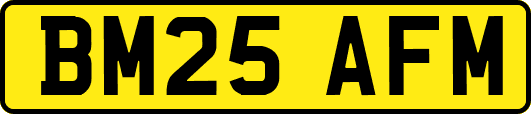 BM25AFM