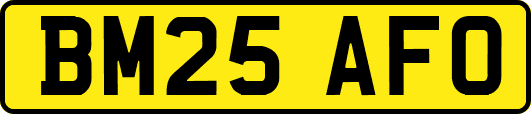 BM25AFO