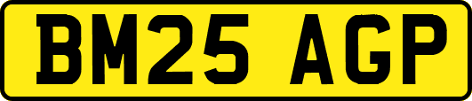 BM25AGP