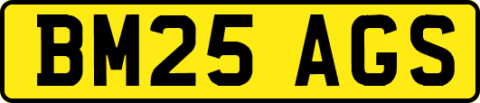 BM25AGS