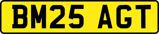 BM25AGT