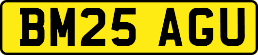 BM25AGU