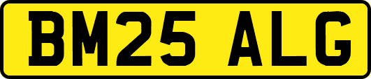BM25ALG