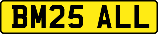 BM25ALL