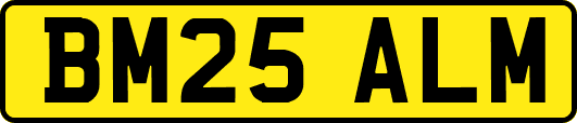 BM25ALM
