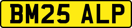 BM25ALP