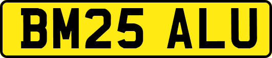 BM25ALU