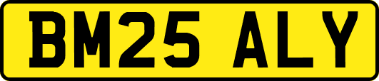 BM25ALY