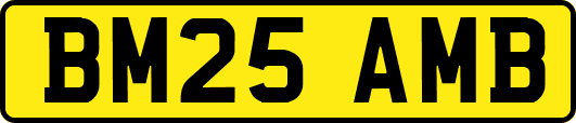 BM25AMB