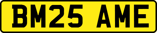 BM25AME