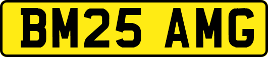 BM25AMG