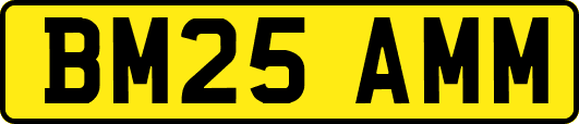 BM25AMM