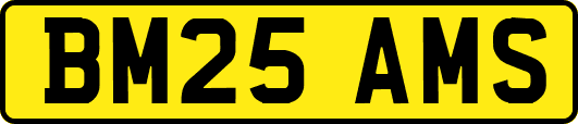 BM25AMS