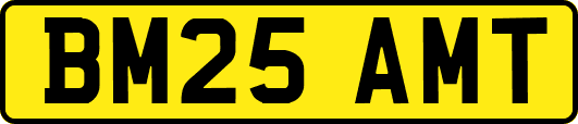 BM25AMT