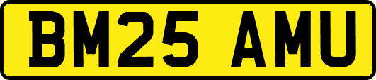 BM25AMU