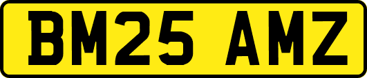 BM25AMZ
