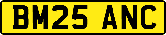 BM25ANC