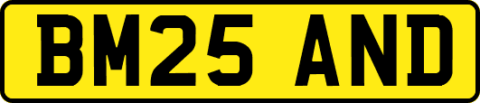 BM25AND