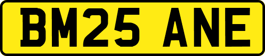 BM25ANE