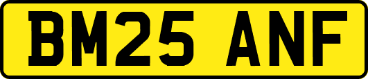 BM25ANF