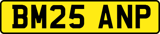 BM25ANP