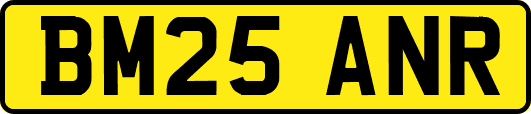 BM25ANR
