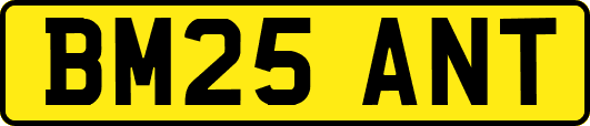 BM25ANT
