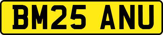BM25ANU