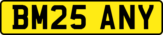 BM25ANY