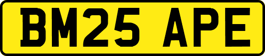 BM25APE