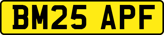 BM25APF