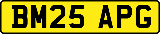 BM25APG