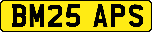 BM25APS