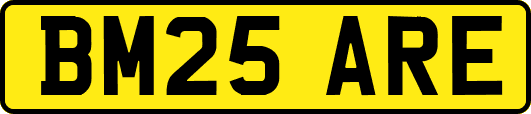 BM25ARE