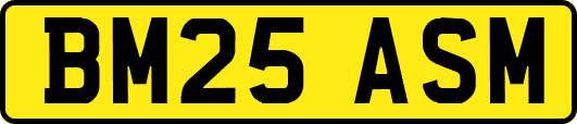 BM25ASM