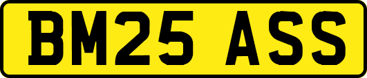 BM25ASS