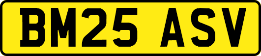 BM25ASV