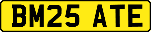 BM25ATE