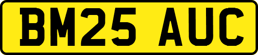 BM25AUC