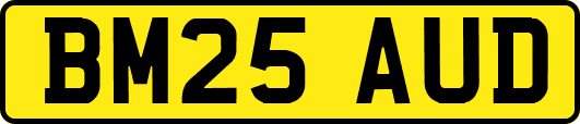 BM25AUD