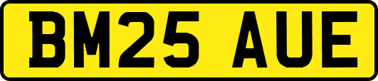 BM25AUE