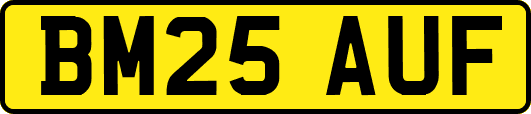 BM25AUF