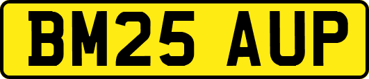 BM25AUP