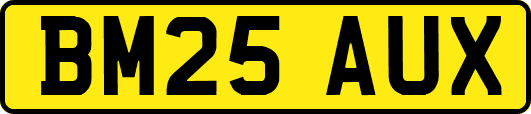 BM25AUX