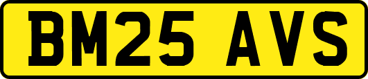 BM25AVS