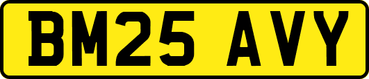 BM25AVY