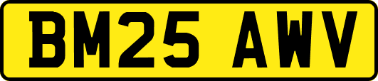 BM25AWV