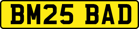 BM25BAD