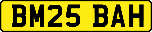 BM25BAH
