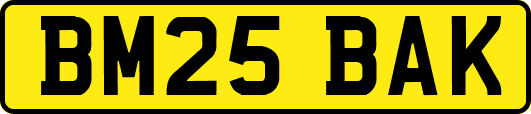 BM25BAK